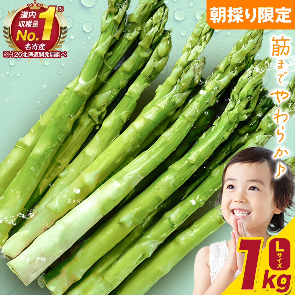 【先行予約】朝採りアスパラガス Lサイズ(1kg) 《2026年5月中旬-5月下旬頃出荷予定》北海道 名寄市 送料無料 朝採り 新鮮 アスパラ---nayoro_loc_8_1kg---