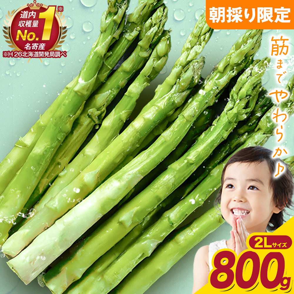 【先行予約】朝採りアスパラガス 2Lサイズ(800g) 《2026年5月中旬-5月下旬頃出荷予定》北海道 名寄市 送料無料 朝採り 新鮮 アスパラ---nayoro_loc_7_800g---