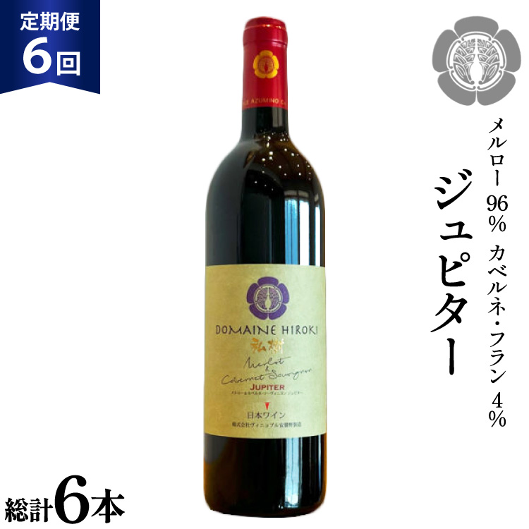 6回 定期便 ワイン ジュピター 750ml×1本 計6本 [ ヴィニョブル安曇野(ドメーヌ・ヒロキ) 長野県 池田町 48110813] ワイン 赤 赤ワイン