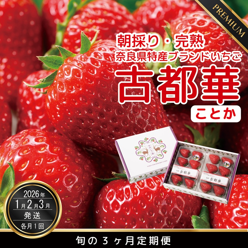 [1・2・3月発送]奈良県特産 高級ブランドいちご「古都華」旬の3ヶ月定期便// いちご イチゴ 古都華 フルーツ 果物 旬 限定 ブランド // いちご イチゴ 古都華 フルーツ 果物 旬 限定 ブランド 朝採り 完熟 いちご ことか イチゴ 先行予約 古都華 数量限定 古都華 甘い 先行受付 予約