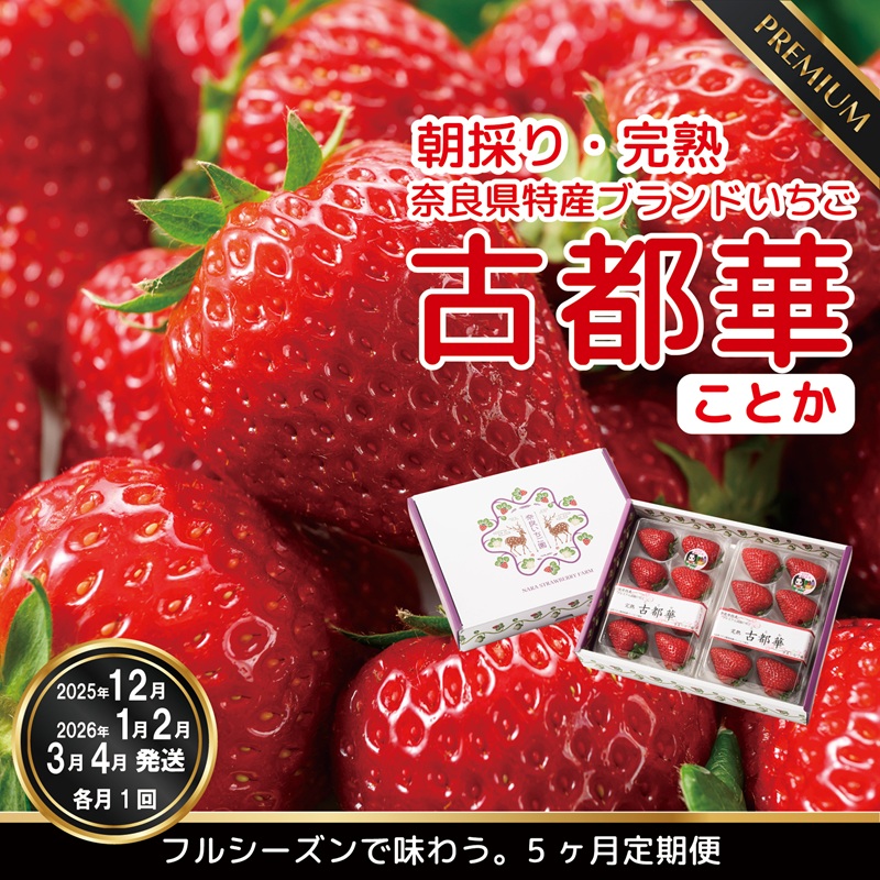 [12・1・2・3・4月発送]奈良県特産 高級ブランドいちご「古都華」大満足の5ヶ月定期便// いちご イチゴ 古都華 フルーツ 果物 旬 限定 ブランド // いちご イチゴ 古都華 フルーツ 果物 旬 限定 ブランド 朝採り 完熟 いちご ことか イチゴ 先行予約 古都華 数量限定 古都華 甘い 先行受付 予約