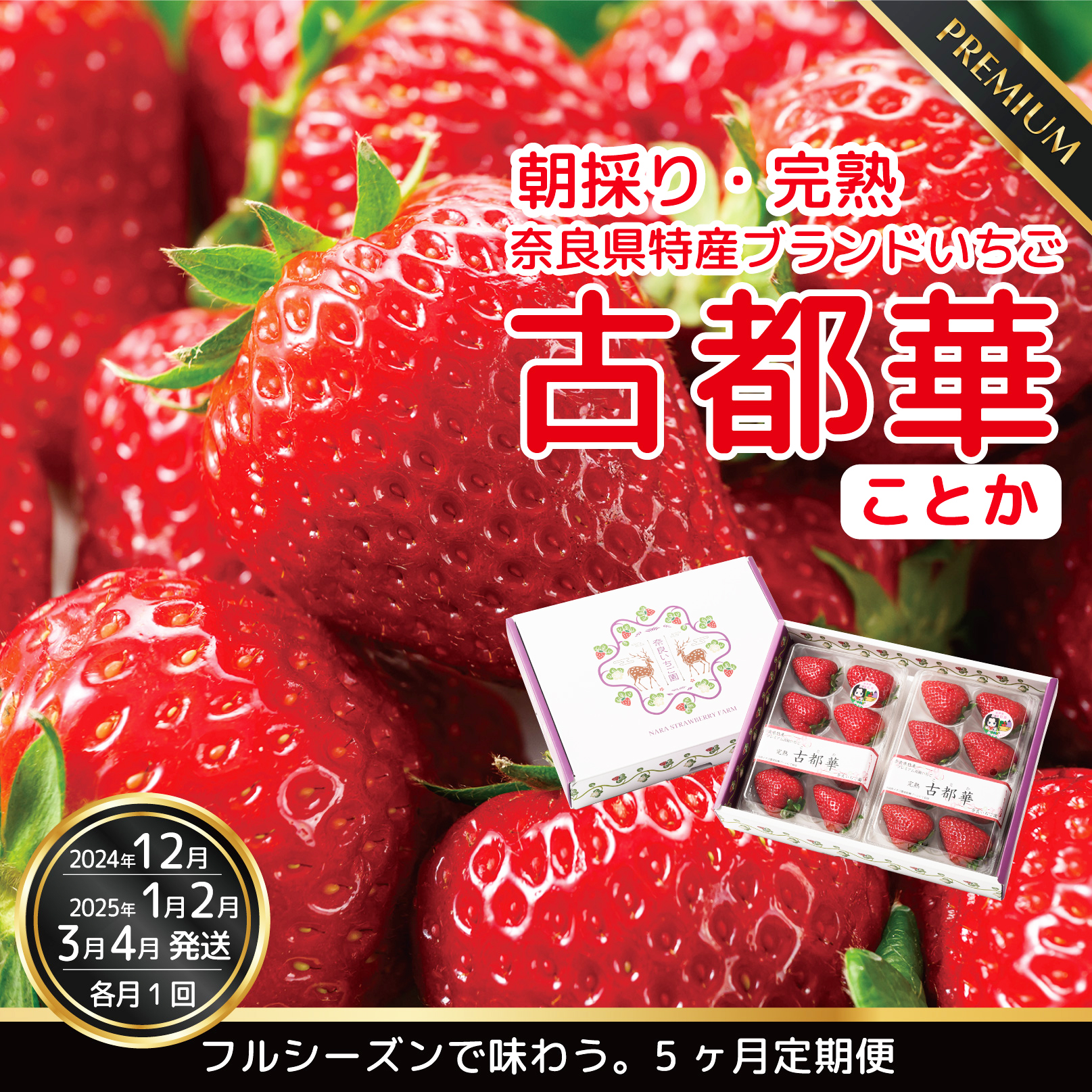 [12・1・2・3・4月発送]奈良県特産 高級ブランドいちご「古都華」大満足の5ヶ月定期便// いちご イチゴ 古都華 フルーツ 果物 旬 限定 ブランド // いちご イチゴ 古都華 フルーツ 果物 旬 限定 ブランド 朝採り 完熟 いちご ことか イチゴ 先行予約 古都華 数量限定 古都華 甘い 先行受付 予約