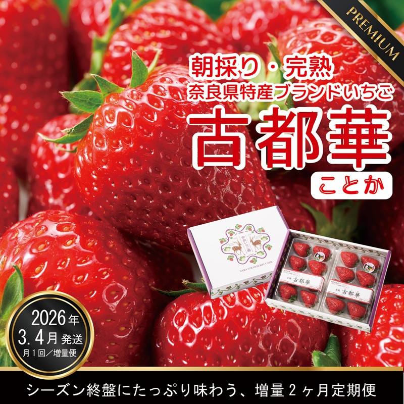 3・4月増量発送 各4パック、計8パック発送 奈良県特産 高級ブランドいちご「古都華」の2ヶ月定期便 // いちご イチゴ 古都華 フルーツ 果物 旬 限定 ブランド // いちご イチゴ 古都華 フルーツ 果物 旬 限定 ブランド 朝採り 完熟 いちご ことか イチゴ 先行予約 古都華 数量限定 古都華 甘い 先行受付 予約