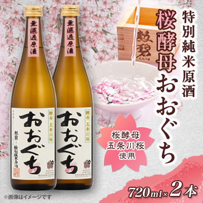 おおぐち2本【1343094】