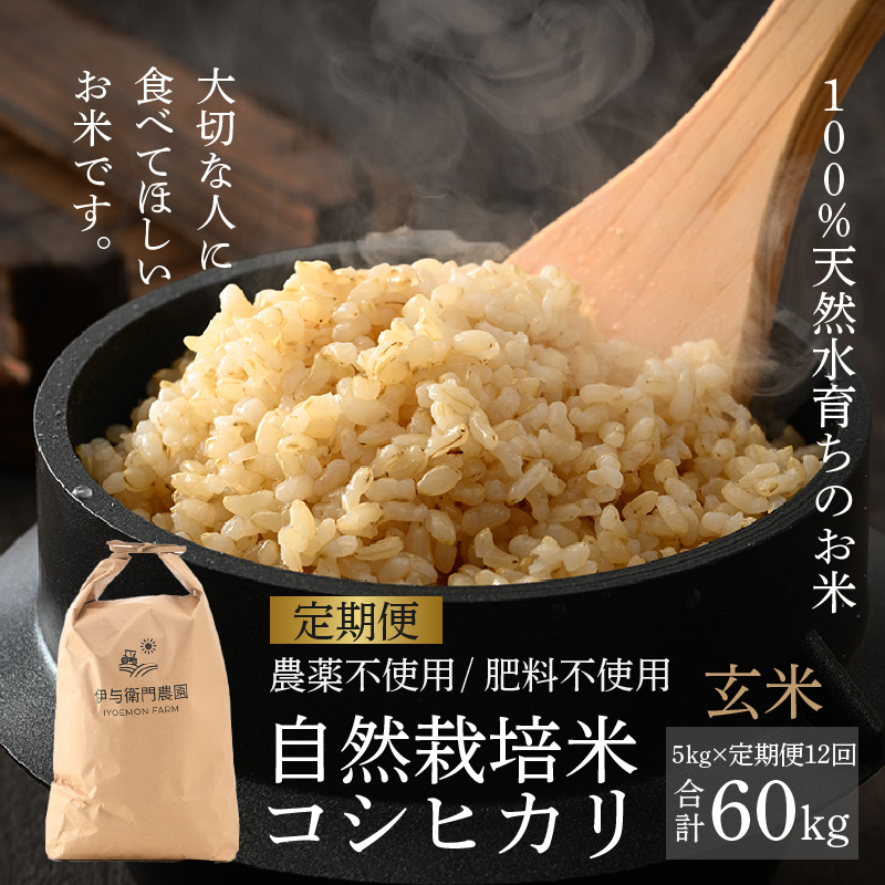 楽天市場】お米 5kg 2袋の通販
