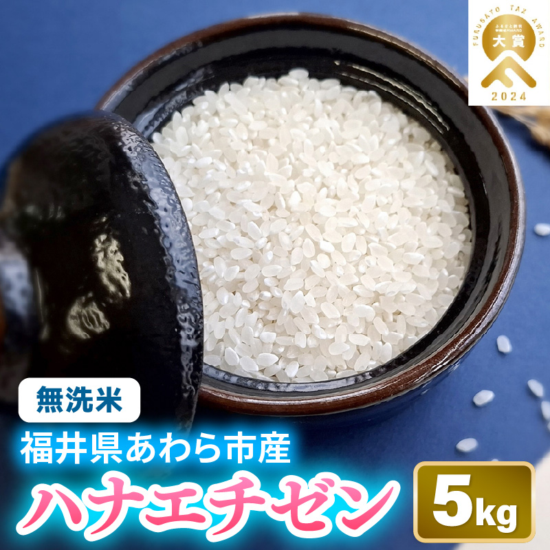 [先行予約][令和7年産] 華越前 無洗米 5kg / 北陸 福井県産 あわら市 ブランド米 白米 お米 コメ ※2025年9月上旬以降順次発送 [aw056-a023]