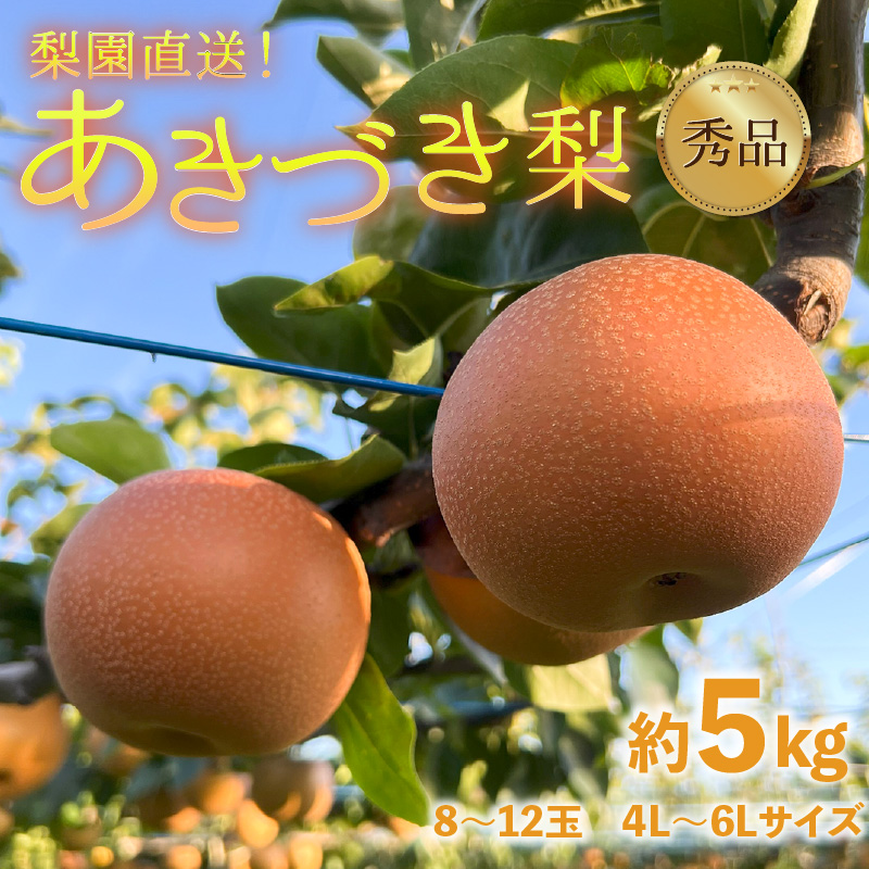 【先行予約】上野梨園のあきづき梨 5kg箱入り（8～12玉入） / 梨園直送【上野の梨】 / 期間限定 果物 フルーツ 農家直送 シャキシャキ もぎたて 旬 お取り寄せ ※2026年9月下旬より順次発送 [aw077-a019]