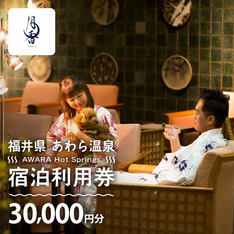 あわら温泉 宿泊利用券 30,000円分 / 宿泊券 旅館 ホテル チケット 観光 旅行 愛犬 ペット可 [aw013-j010]