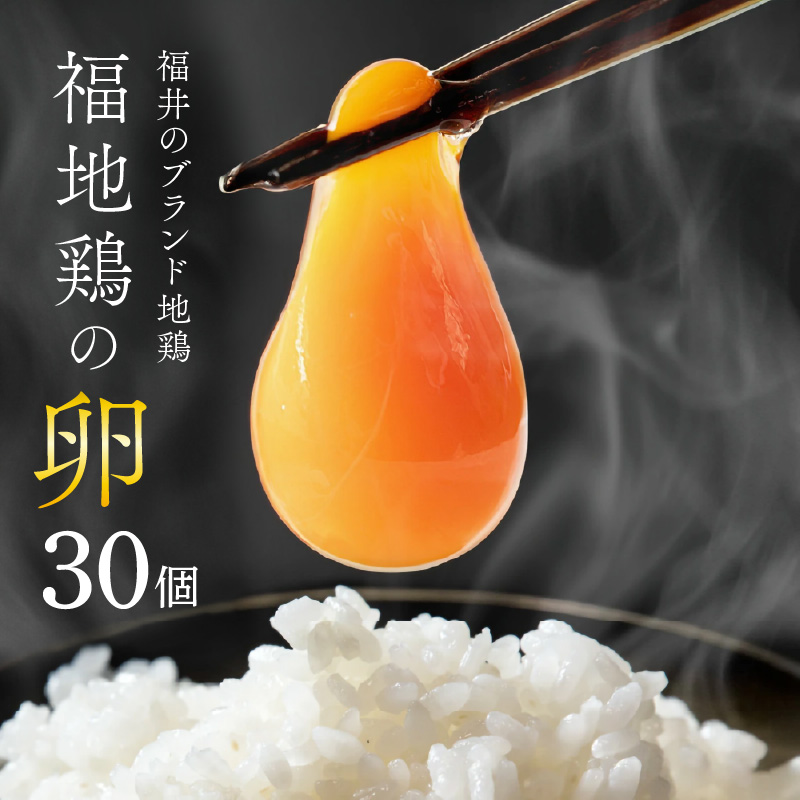 濃厚で甘くておいしい！ 福井ブランド「福地鶏」の卵 30個 ／ 卵 たまご 鶏卵 生卵 有精卵 高級 高級卵 福地鶏 鶏 平飼い 美味しい こだわり 卵かけご飯 料理 あわら市 福井県産 [aw036-a001]