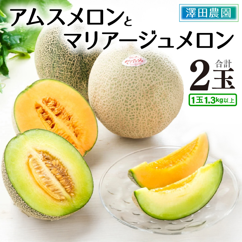 【先行予約】アムス・マリアージュメロン 2種（1.3kg以上2玉入）農園1番のおすすめ！ / 期間限定 果物 フルーツ 産地直送 青肉 赤肉 人気 ※2026年7月上旬より順次発送 [aw039-a003]