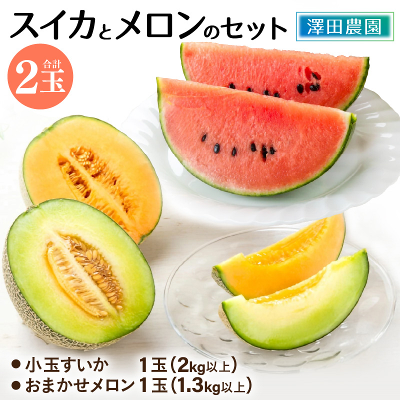 【先行予約】日を分けて2度楽しめる！小玉すいか・おすすめメロン 2種セット(2玉入)  / 期間限定 果物 フルーツ 産地直送 青肉 赤肉 スイカ 小玉スイカ 人気 ※2026年6月下旬より順次発送 [aw039-a004]