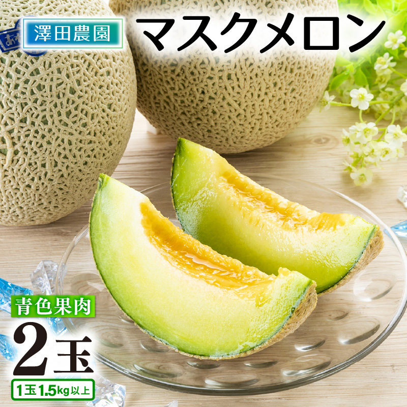 【先行予約】青肉マスクメロン（1.5kg以上 2玉入）味も見た目も抜群！アールスメロン  / 期間限定 果物 フルーツ 産地直送 青肉 人気 ギフト 贈答 ※2026年7月上旬より順次発送 [aw039-a005]