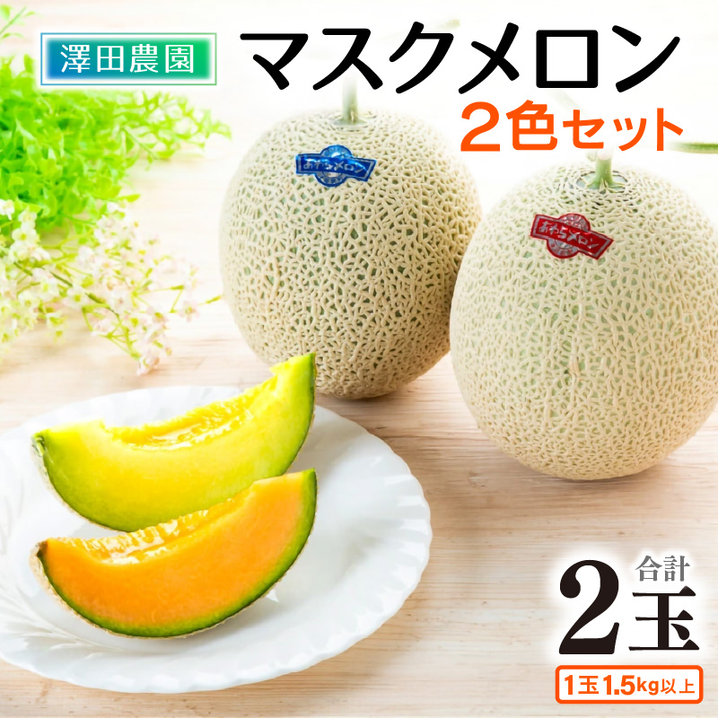 先行予約】マスクメロン 青肉/赤肉 2色セット（1.5kg以上 2玉入