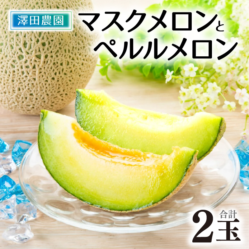 【先行予約】マスクメロン・ペルルメロン 2種セット(2玉入）大玉で食べ応え抜群！  / 期間限定 果物 フルーツ 産地直送 青肉 人気 甘い アールスメロン ※2026年7月上旬より順次発送 [aw039-a007]