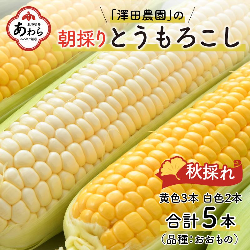 野菜・きのこ とうもろこしの返礼品一覧 JR東日本が運営【JRE MALLふるさと納税】