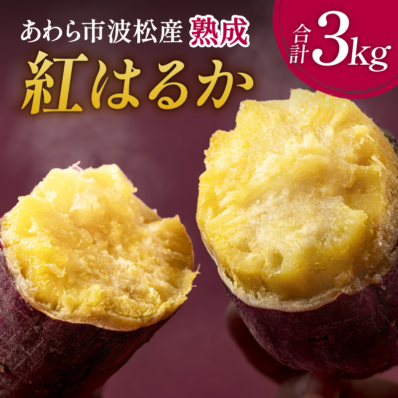 【先行予約】あわら市波松産 紅はるか 3kg ※2025年10月上旬より順次発送 / 厳選 不揃い さつまいも 土付き 熟成 焼き芋 福井県 薩摩芋 密芋 スイートポテト しっとり ほっくり 自然のスイーツ 極甘 農研機構許諾済 メディアで人気 腸活 [aw084-a001]