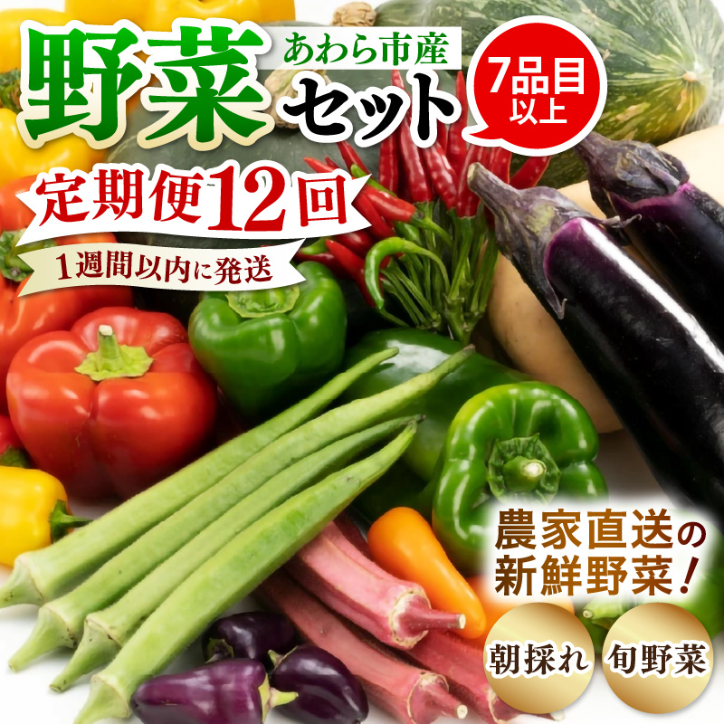 【12ヶ月連続お届け】農家直送 旬の野菜セット 7品目以上 1箱 / 定期便 12ヶ月 12回 [aw028-f002] 