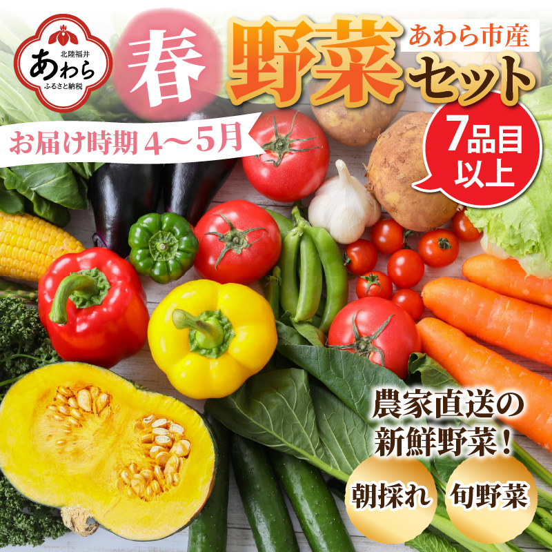 [先行予約]農家直送 春野菜セット 1箱 7品目以上 [元気に育った新鮮野菜!] ※2025年4月下旬以降順次発送予定