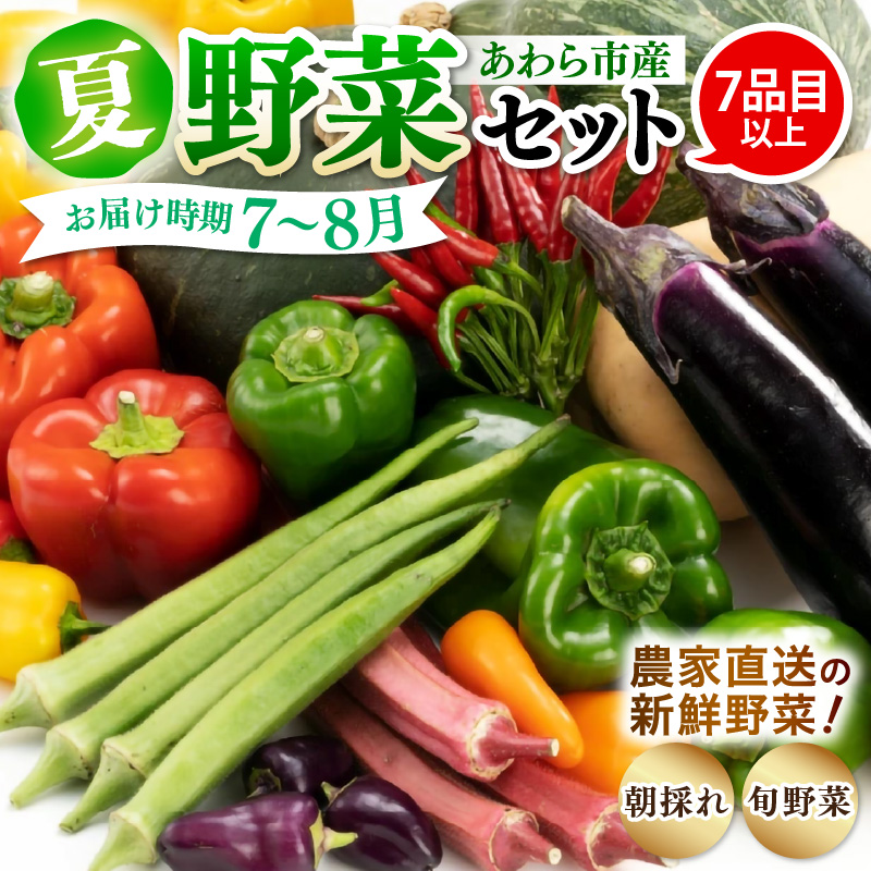 【先行予約】農家直送 夏野菜セット 1箱 7品目以上 《元気に育った新鮮野菜！》※2025年7月中旬以降発送 [aw028-a009]