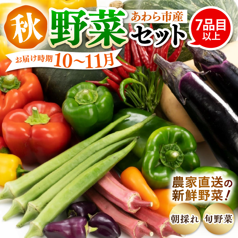 【先行予約】農家直送 秋野菜セット 1箱 7品目以上 《元気に育った新鮮野菜！》※2025年10月下旬以降発送 [aw028-a010]