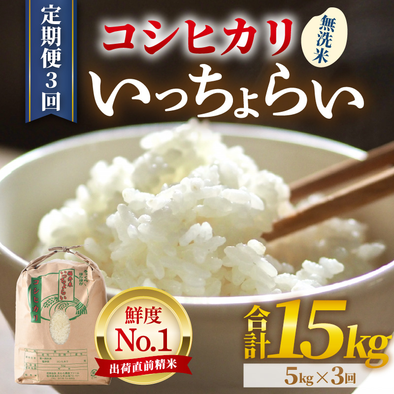 【令和7年産・新米】【一等米】《定期便3回》いっちょらい 無洗米 5kg × 3回（計15kg）／ 福井県産 ブランド米 コシヒカリ ご飯 白米 新鮮 大賞 受賞 [aw012-d005]