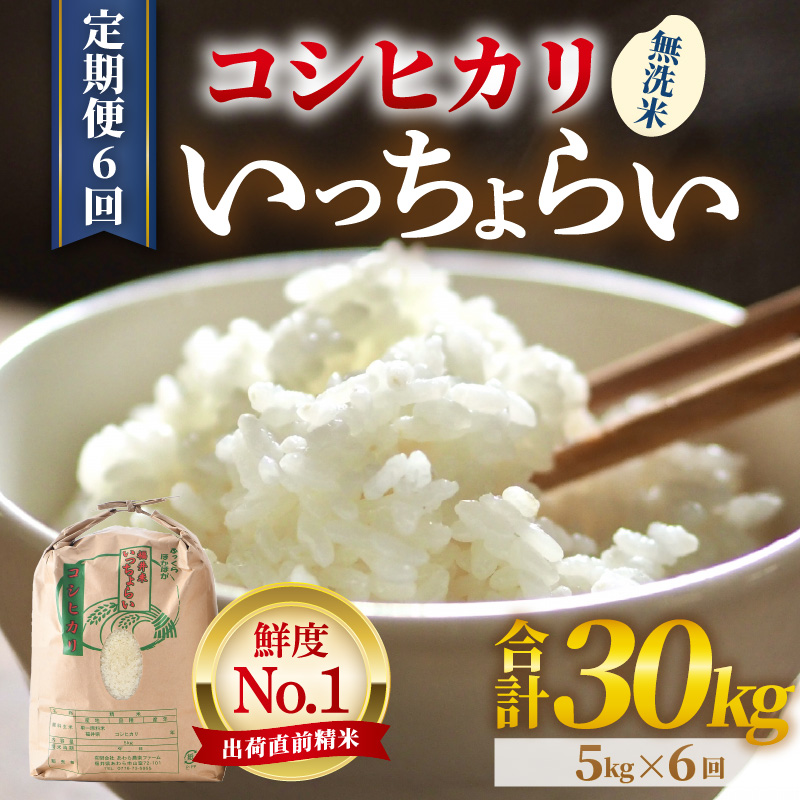 【令和7年産・新米】【一等米】《定期便6回》いっちょらい 無洗米 5kg × 6回（計30kg） ／ 福井県産 ブランド米 コシヒカリ ご飯 白米 新鮮 大賞 受賞 [aw012-h004]