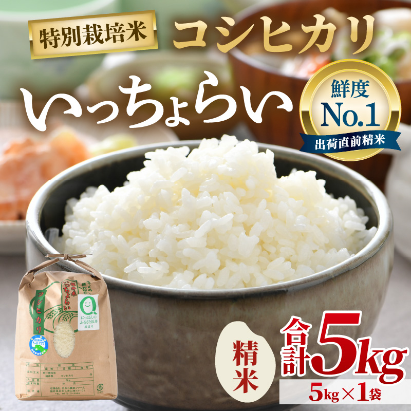 【先行予約】【令和7年産・新米】【一等米】特別栽培米 いっちょらい 精米 5kg ／福井県産 ブランド米 コシヒカリ ご飯 白米 新鮮 大賞 受賞 【2025年9月下旬より順次発送予定】 [aw012-a022]