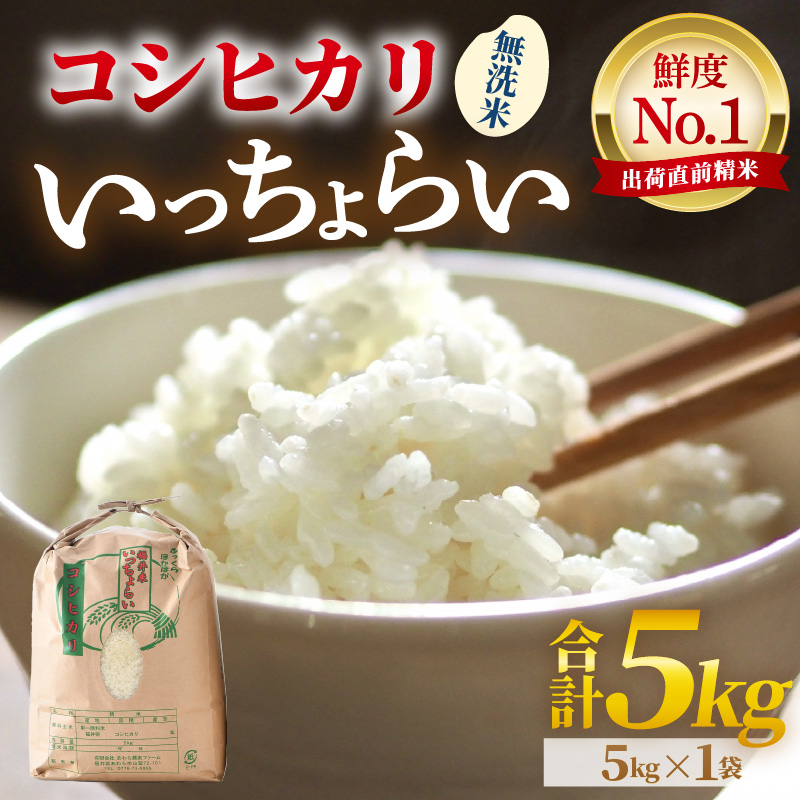 【令和7年産・新米】【一等米】いっちょらい 無洗米 5kg ／ 福井県産 ブランド米 コシヒカリ ご飯 白米 新鮮 大賞 受賞 [aw012-a021]