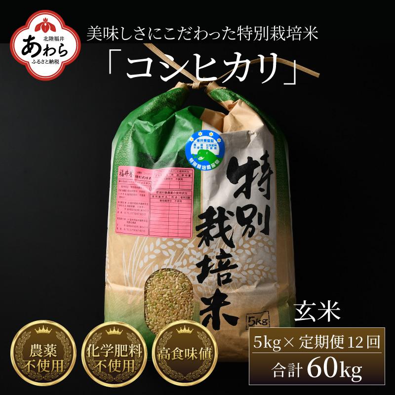 [令和6年産 新米][定期便12回]コシヒカリ 玄米 5kg (計60kg)特別栽培米 農薬不使用 化学肥料不使用 / 高品質 鮮度抜群 福井県産 ブランド米