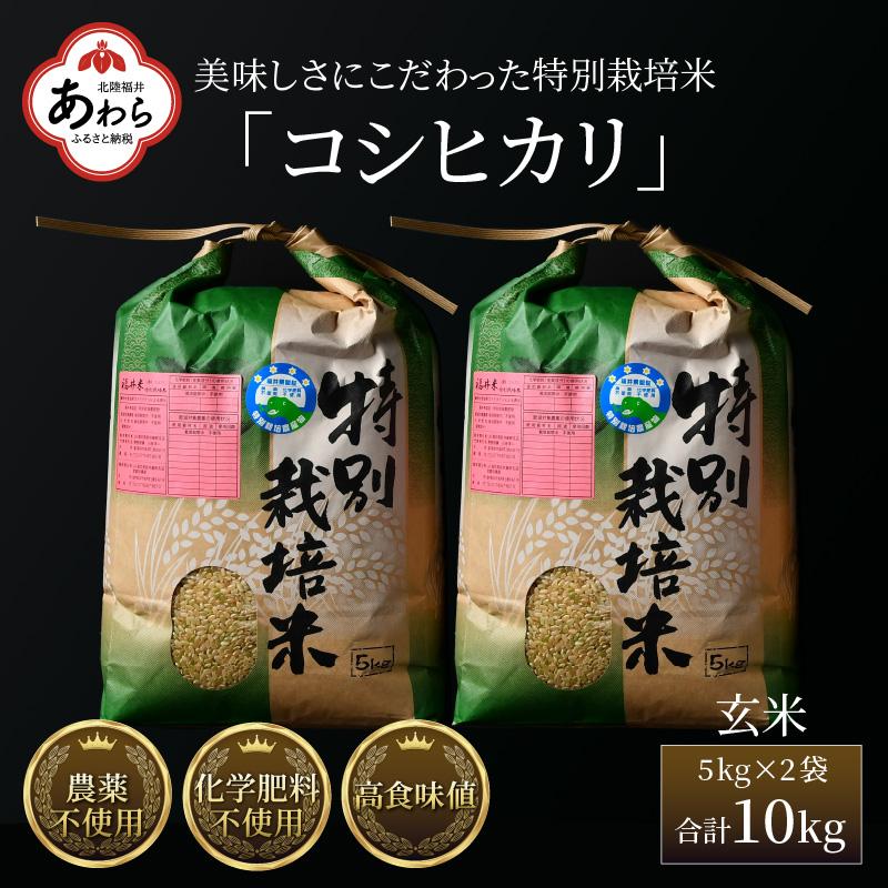 [先行予約][令和6年産]コシヒカリ 玄米 5kg×2袋(計10kg) 特別栽培米 農薬不使用 化学肥料不使用 / 高品質 鮮度抜群 福井県産 ブランド米 新米 ※2024年9月下旬以降順次発送予定