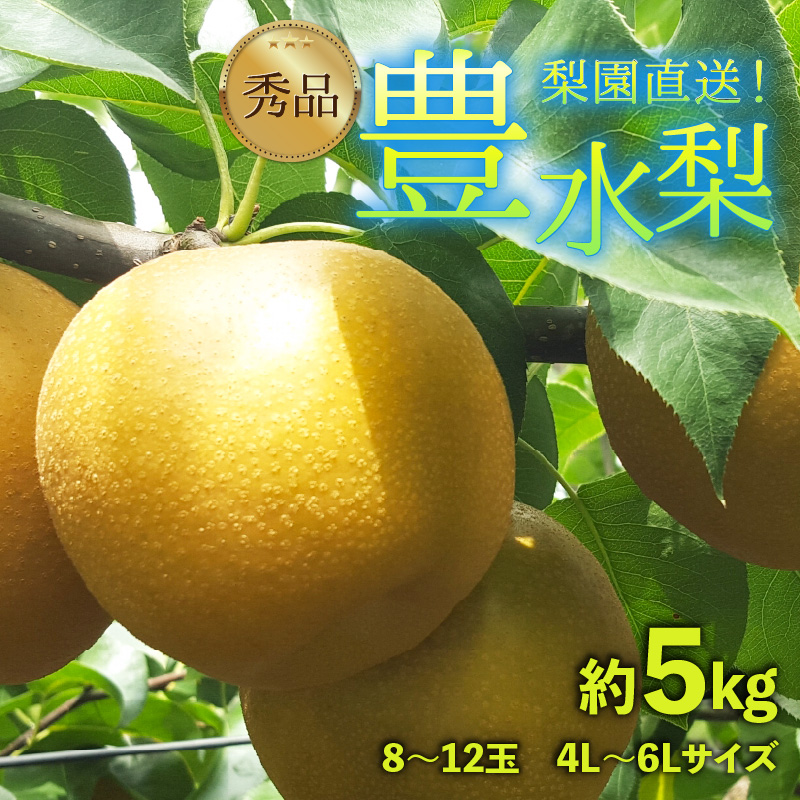 【先行予約】上野梨園の豊水梨 8～12玉入 約5kg  4L～6L【秀品】《数量限定》梨園直送！ / 期間限定 果物 フルーツ 農家直送 シャキシャキ もぎたて 旬 お取り寄せ ※2025年9月上旬より順次発送 [aw077-a002]