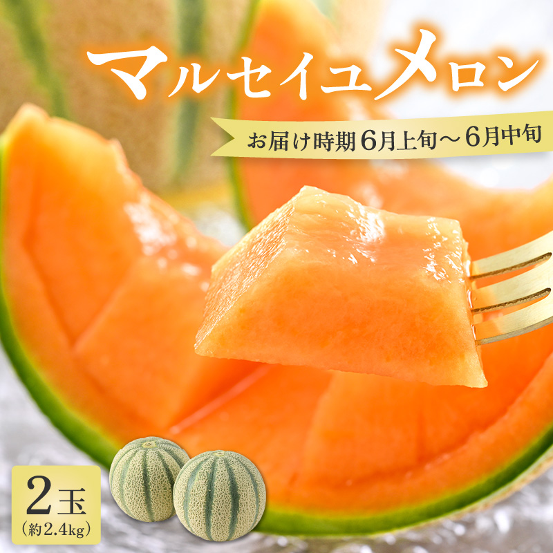 【先行予約】マルセイユメロン 2玉 約2.4kg（約1.2kg以上×2玉）大人気の赤肉品種！高級メロンの味わい ／ 果物 フルーツ ギフト 農家直送 ※2026年6月上旬以降順次発送 [aw065-a005]