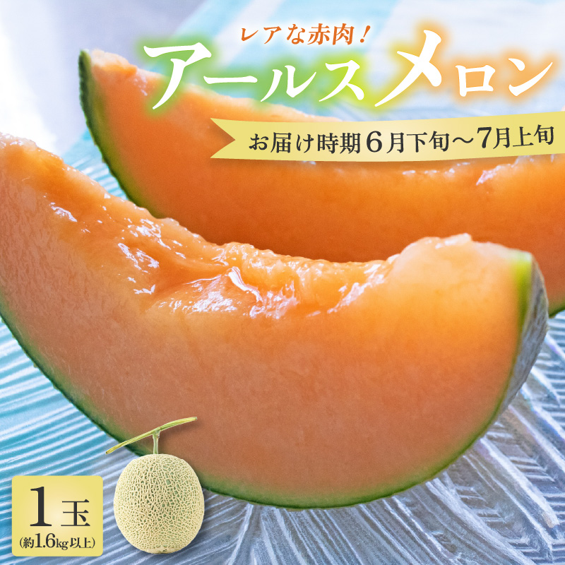【先行予約】【赤肉】アールスメロン 1玉（約1.6kg以上）赤肉品種 高級メロン！ ／ マスクメロン 大玉 果物 フルーツ 夏 ギフト 農家直送 ※2026年6月下旬以降順次発送予定 [aw065-a003]