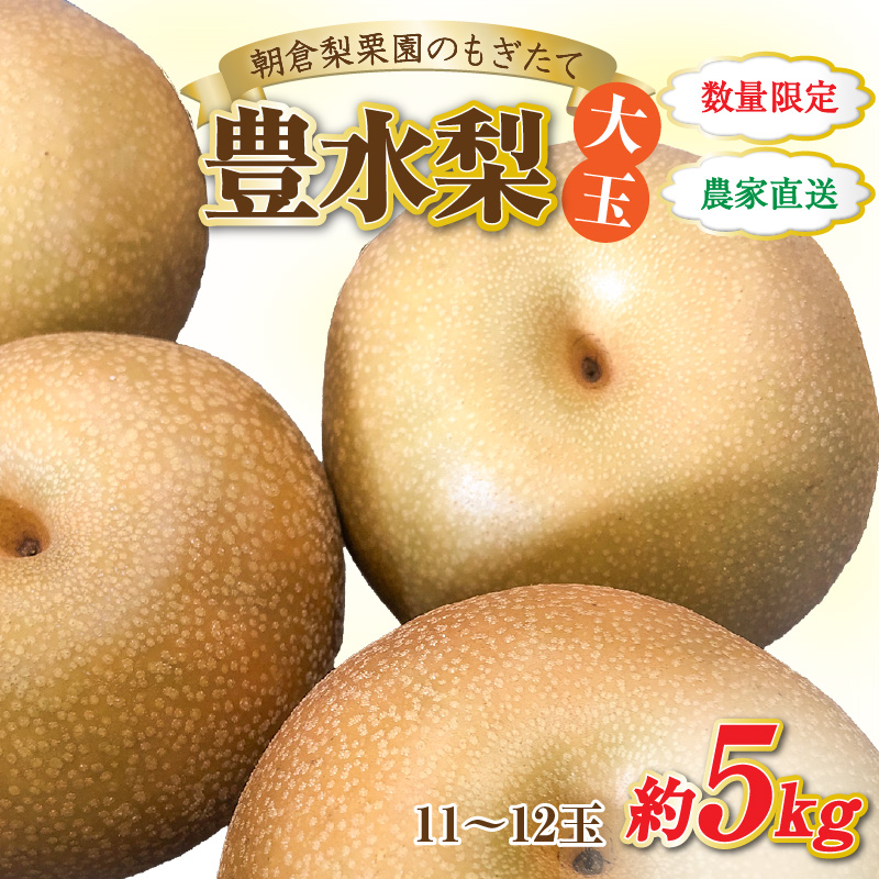 [先行予約][数量限定]豊水梨[大玉]11〜12玉入 約5kg / もぎたて 新鮮 期間限定 果物 フルーツ 農家直送 お取り寄せ 豊水 梨 なし 福井県 あわら市※2024年9月上旬より順次発送 [aw042-a001]