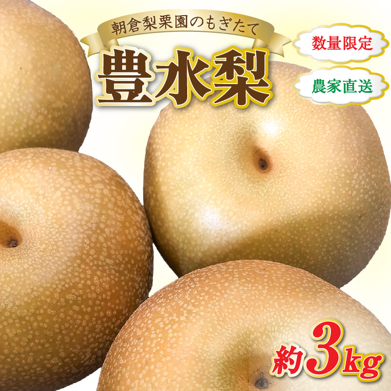 【先行予約】《数量限定》豊水梨 7～8玉入 約3kg もぎたて 新鮮 ※2026年9月上旬より順次発送予定 [aw042-a003]