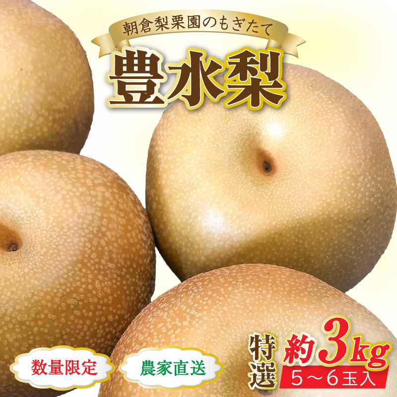 [先行予約][数量限定]豊水梨 特選 5〜6玉入 約3kg / もぎたて 新鮮 期間限定 果物 フルーツ 農家直送 お取り寄せ 豊水 梨 なし 福井県 あわら市※2024年9月上旬より順次発送 [aw042-a004]