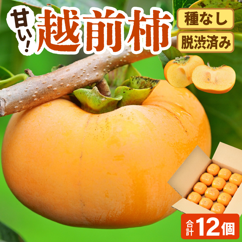 【先行予約】【種なし】 甘い！越前柿12個入り 脱渋済み 本場柿原郷で収穫 ※2025年10月下旬以降順次発送予定 [aw082-a001]