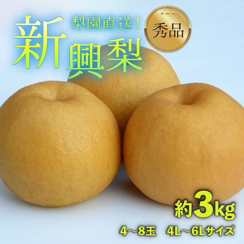 【先行予約】上野梨園の新興梨 約3kg 4L～6L【秀品】《数量限定》梨園直送！ / 期間限定 果物 フルーツ 農家直送 シャキシャキ もぎたて 旬 お取り寄せ ※2026年10月上旬より順次発送 [aw077-a018]