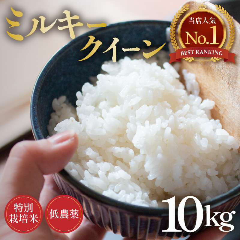 【先行予約】【令和8年産 新米】ミルキークイーン 10kg 精米 特別栽培米 低農薬 《食味値85点以上！こだわり精米》 / 福井県 あわら市 北陸 米 お米 人気 白米 精米 ※2026年9月上旬より順次発送 [aw032-c008]
