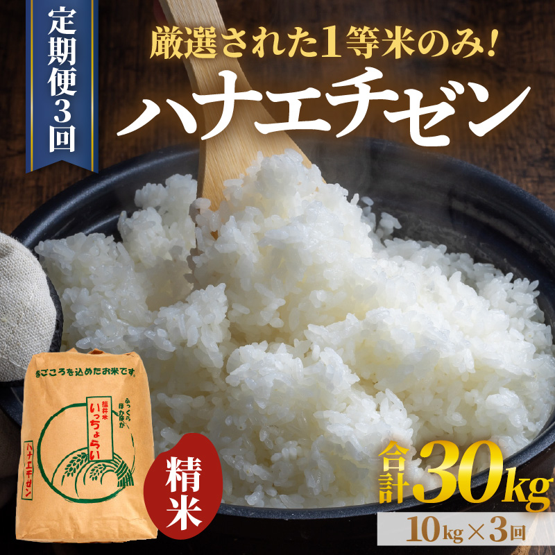 【令和7年産・新米】【一等米】＜定期便3回＞ ハナエチゼン 精米 10kg × 3回（30kg）《発送直前精米！》 ／ 福井県産 ブランド米 ご飯 白米 お米 コメ 新鮮 大賞 受賞 新米 [aw012-f006]