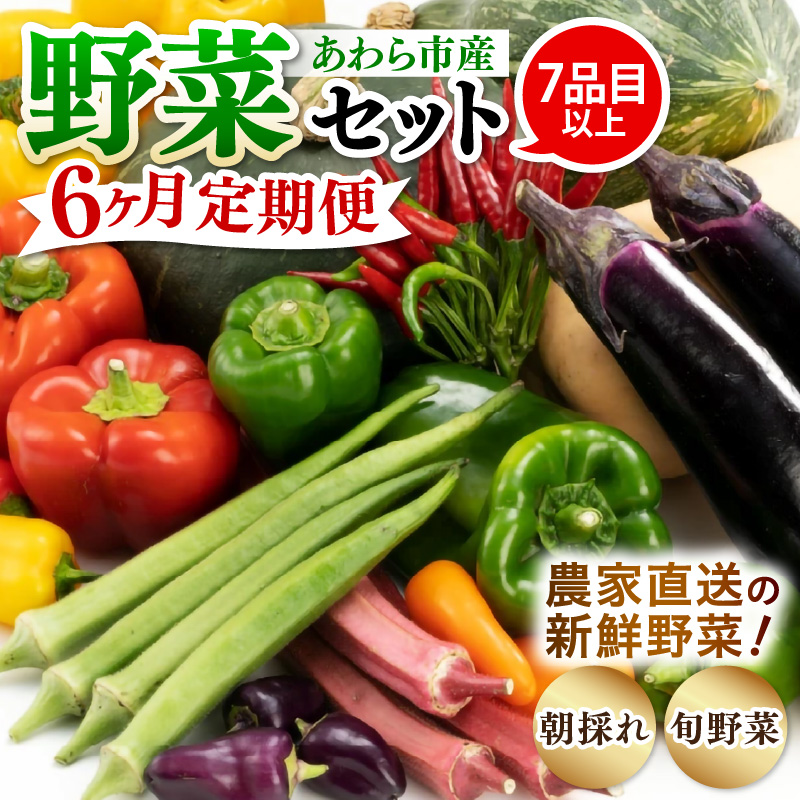 【6ヶ月連続お届け】農家直送 旬の野菜セット 7品目以上 1箱 ／ 定期便 6回 季節 野菜 ボックス BOX セット セレクト 農家 おまかせ 多品目 旬 詰め合わせ 根菜 葉物 [aw028-c003]