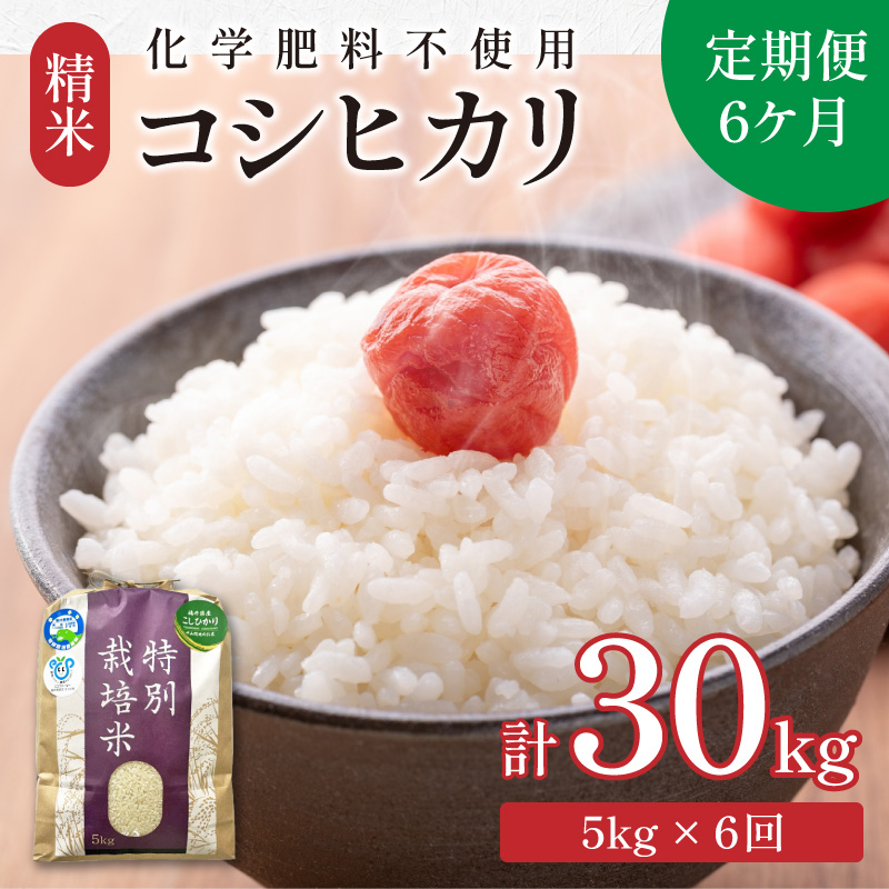 ふく様専用】令和6年産 南魚沼産こしひかり 30kg 特別栽培米