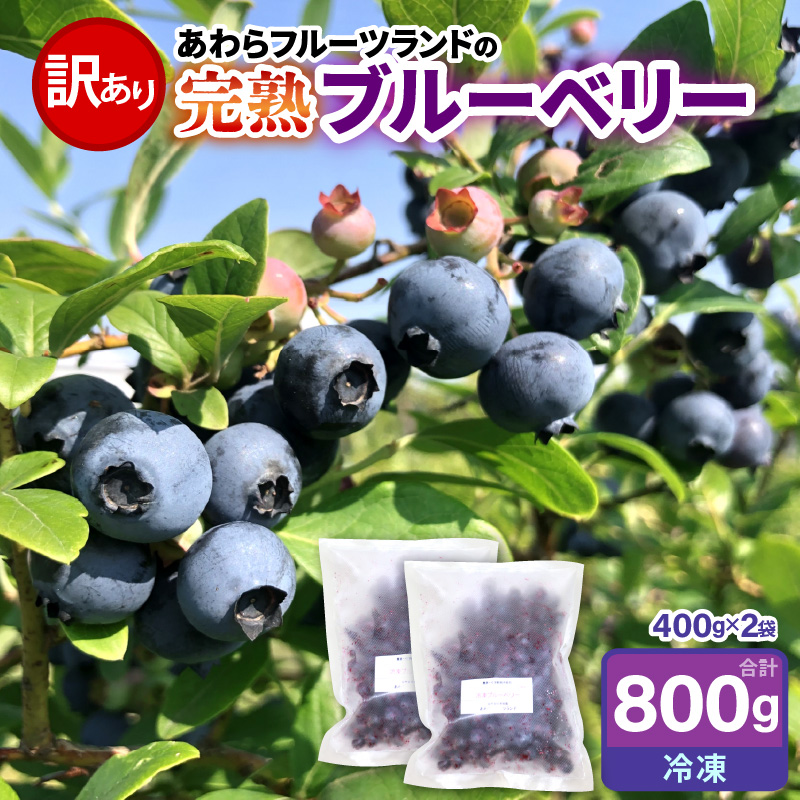 【先行予約】【訳あり】【冷凍】あわらフルーツランドのブルーベリー 800g （400g×2袋） 【完熟】 / フルーツ 果物 くだもの 福井県 あわら市 小分け 便利 たっぷり 完熟 ご当地 国産 おすすめ ※2026年8月上旬より順次発送 [aw091-a002]