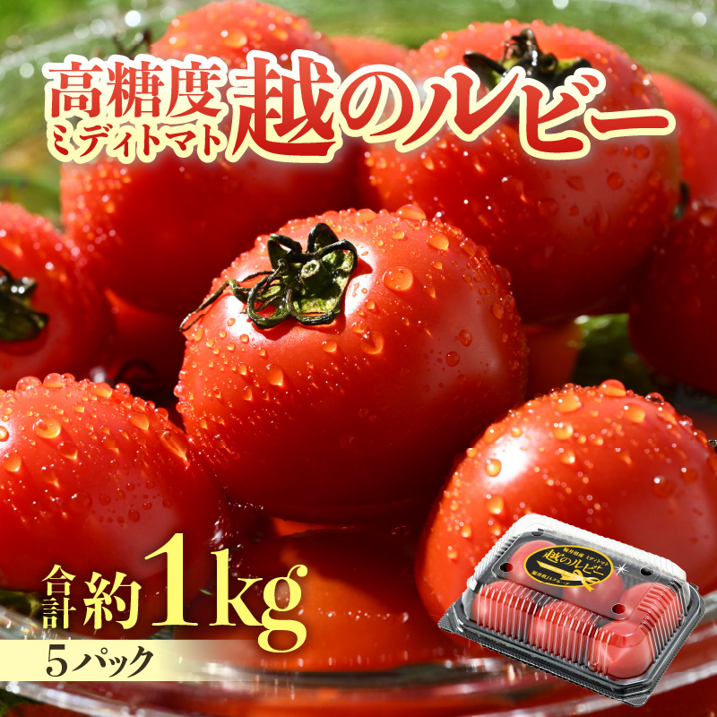 【先行予約】高糖度 ミディトマト 越のルビー パック入り 約1kg 5パック（25～45個入） / 福井県産 ブランド トマト 福井県産ブランドトマト  農家直送 有機肥料 低農薬 完熟 甘い ※2025年9月中旬より順次発送 [aw069-a009]
