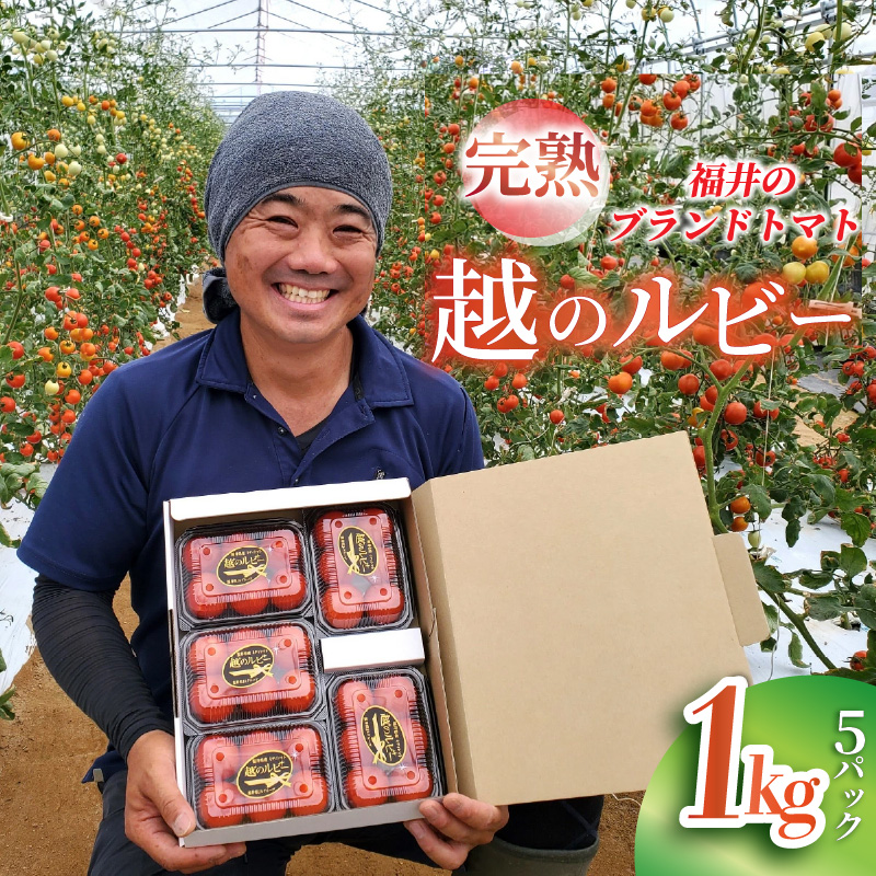 【先行予約】【福井県あわら市産】福井のブランドトマト【完熟 越のルビー】1kg（5パック） / 農家直送 朝採れ ミディトマト ブランドトマト 福井県産 福井 高糖度 フルーツ 野菜 甘い トマトの苦手な人 ※2025年9月上旬より順次発送 [aw056-a018]