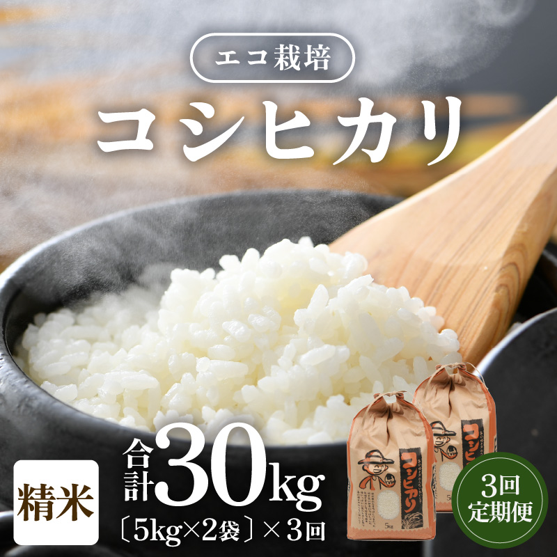 【令和7年産 新米】《定期便3回》エコ栽培コシヒカリ 白米10kg（5kg×2袋）計30kg ／ 鮮度抜群 福井県産 こしひかり ご飯 新鮮 白米 [aw063-g001]