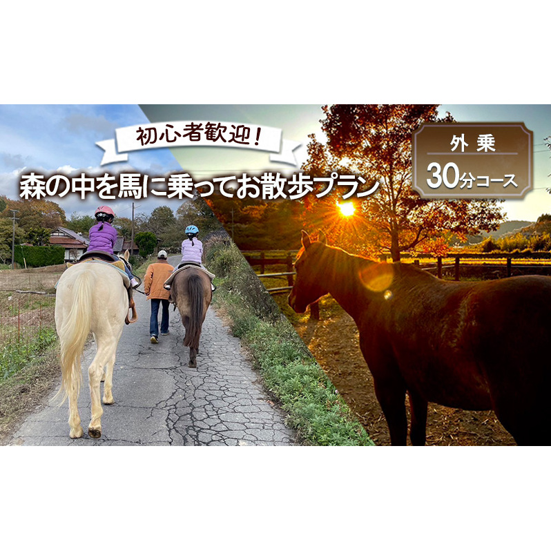 初心者歓迎 森の中を馬に乗ってお散歩プラン(30分)  外乗 体験 広島 安芸高田市 エオの谷