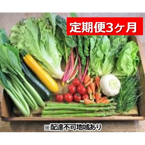 旬の野菜・定期便(3か月)【配達不可:北海道・沖縄・離島】 セット 詰合せ 3カ月 3回