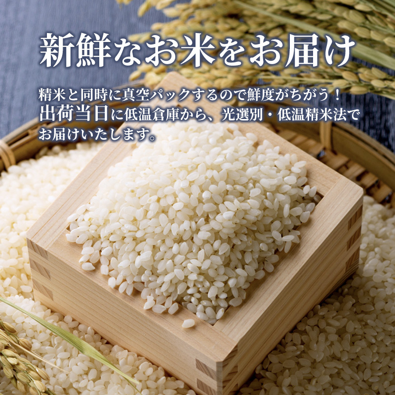 米 コシヒカリ 令和5年 真空パック 6kg 広島県安芸高田市産 3kg