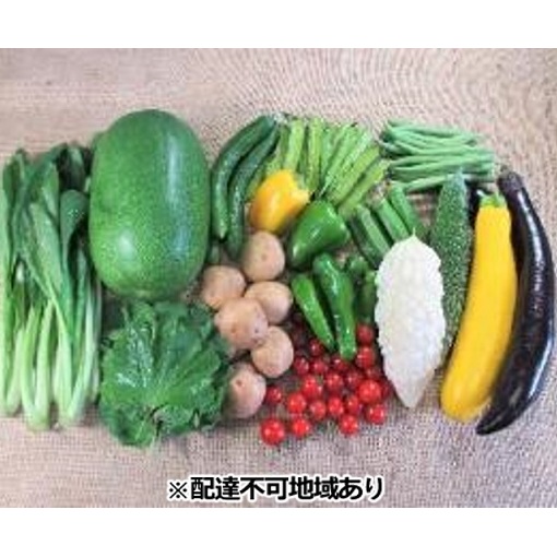 旬の野菜【L】セット【配達不可:北海道・沖縄・離島】 詰合せ